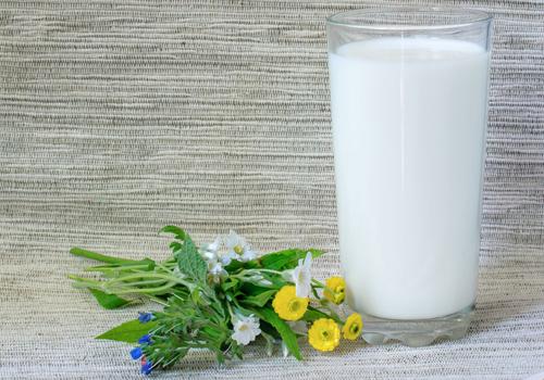 腹泻的时候不能吃什么东西 这些东西不要吃