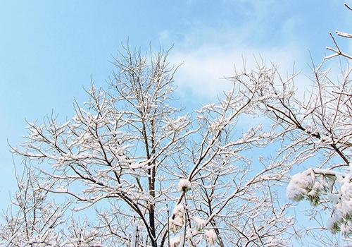 小雪节气由来