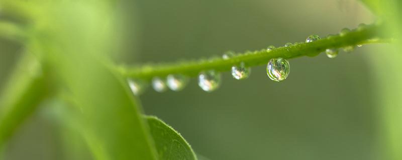 白露天气有什么变化 白露节气一般气温多少度