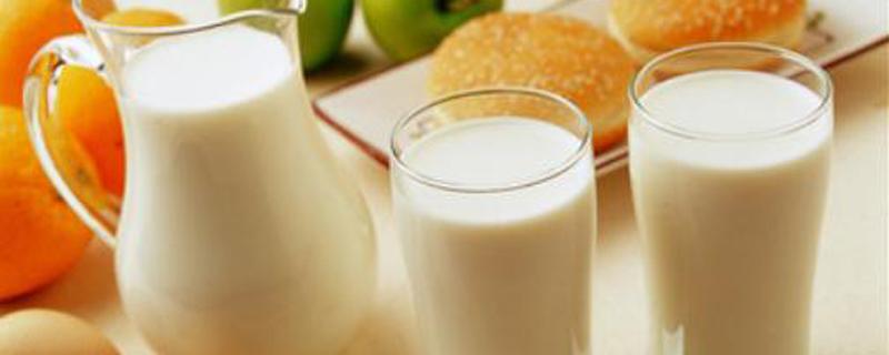 喝羊奶可以丰胸吗 女性喝什么奶可以丰胸