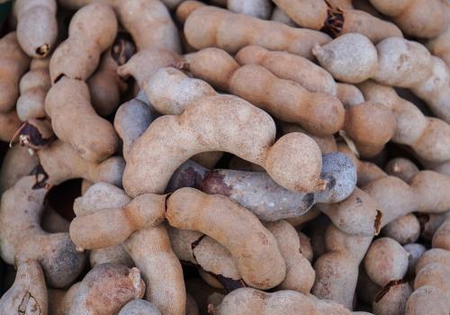 甜角的营养价值