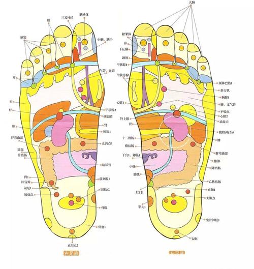 足疗反射区及对应功效 原来好处有这么来