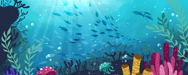 天天做海藻面膜为什么会脸红 海藻面膜多久用一次为宜