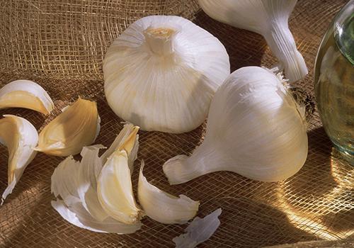 吃大蒜脸上会长痘痘吗 吃大蒜脸上长痘痘怎么办