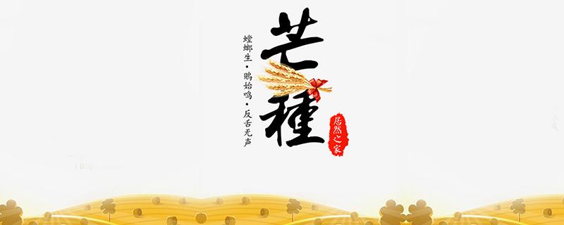 2020年芒种是哪一天 芒种养生要注意什么