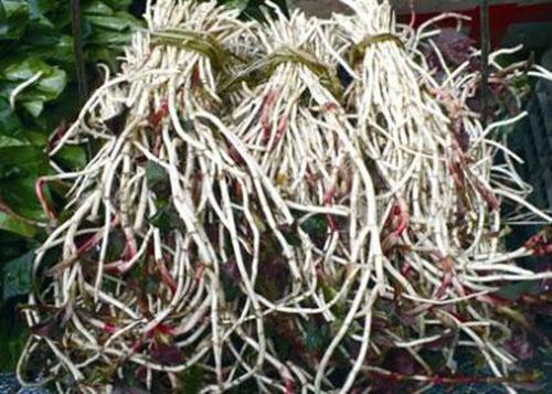 痛风喝什么茶 这些茶平时经常食用对治疗高尿酸