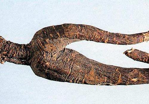 狼毒的营养价值