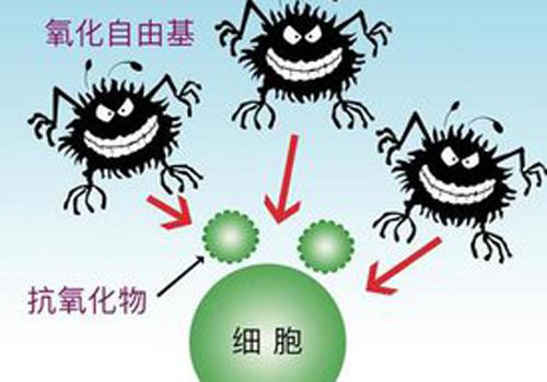 自由基是如何产生的