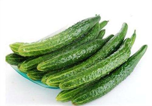 黄瓜和什么搭配最好 黄瓜不能和什么一起吃