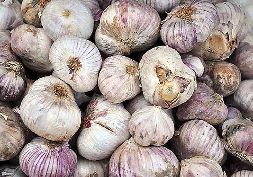 吃大蒜长痘吗 长青春痘能吃大蒜吗