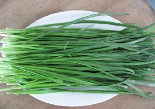 韭菜不能和什么一起吃 韭菜和什么一起吃最好