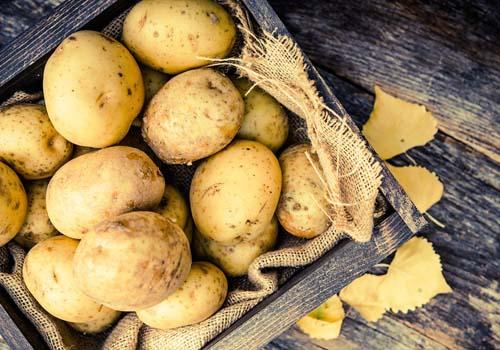 土豆发芽了把芽削掉能吃吗 土豆发芽了为什么不能吃