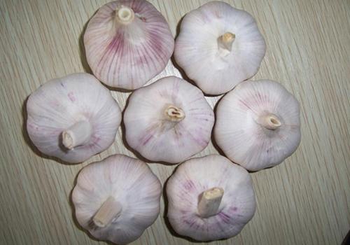 大蒜加绿豆粉能祛斑吗 用大蒜加绿豆粉祛斑怎么做