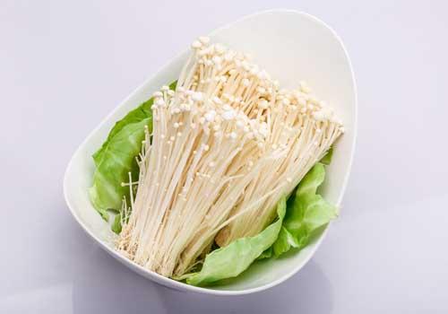 吃金针菇能喝酸奶吗 金针菇不能和什么同吃