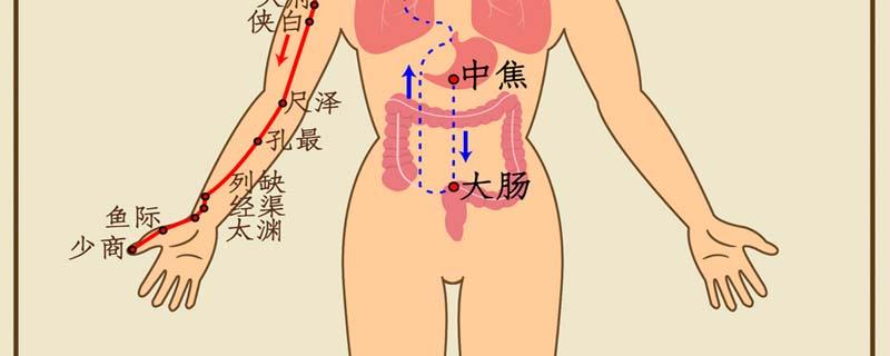 孔最定位的准确位置 孔最为什么能治疗痔疮出血