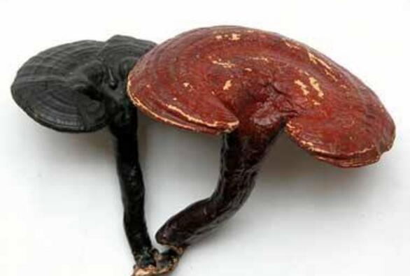 美容吃什么好 这两种食物吃对了，水嫩肌肤养成一点都不难！