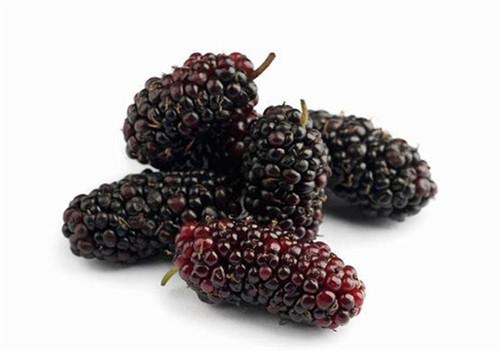 女人吃桑葚有哪些好处 桑葚怎么吃最有营养