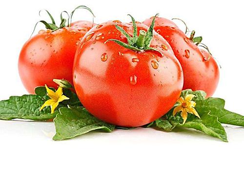 吃西红柿可以去痘痘吗