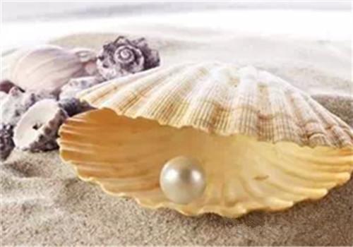 珍珠粉怎么用效果最好 珍珠粉的用法