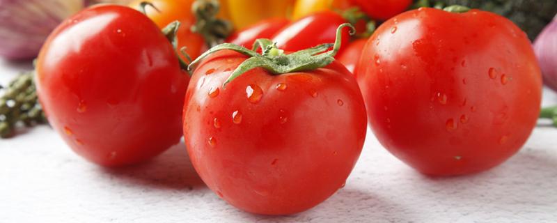 秋季怎么防晒最有效 你不知道的防晒妙方