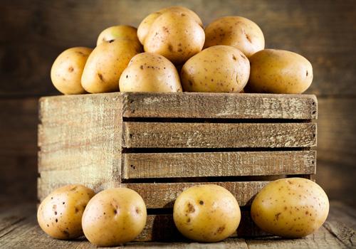 吃土豆会中毒吗 吃土豆中毒了怎么办