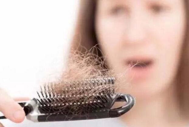 掉发多是什么原因 掉发怎么调理