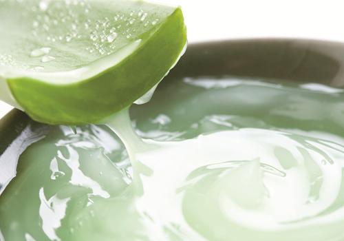 芦荟胶怎么用祛痘效果好 四招缓解不同痘痘