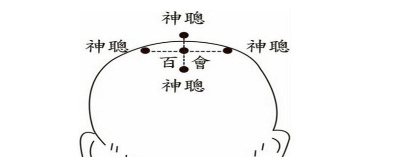 四神聪的准确位置图片 四神聪的功效和作用