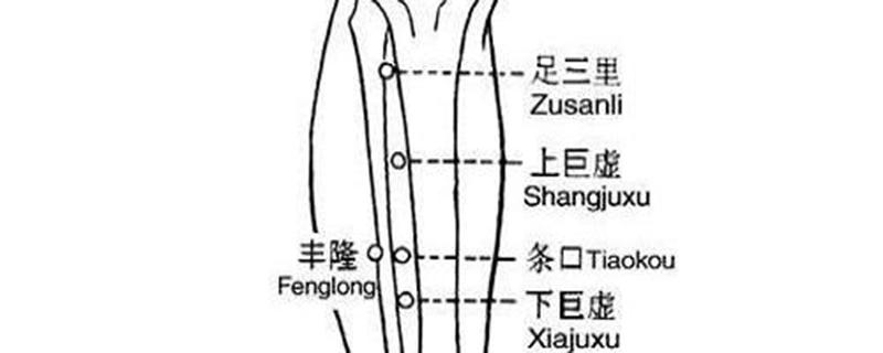 上巨虚和下巨虚的位置及功效 上巨虚一按疼痛的原因