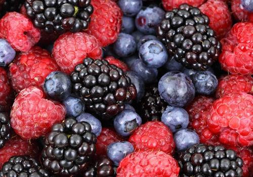 孕妇可以吃桑葚吗 孕妇吃桑葚有什么好处