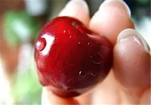 新鲜樱桃怎么保存 新鲜樱桃可以放多久