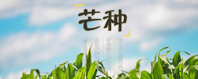 芒种日可以安灶吗 芒种虾皮什么时候最新