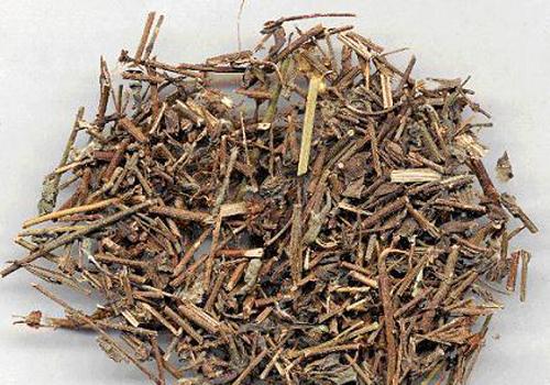 刘寄奴的营养价值