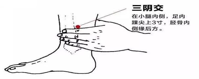 三阴交的准确位置图 三阴交的功效与作用