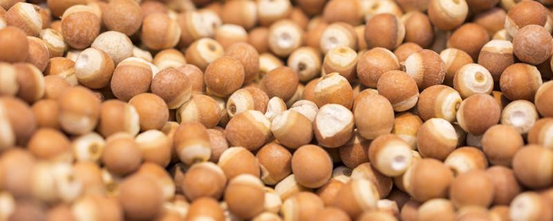 新鲜芡实怎么吃祛湿最好（芡实怎么吃祛湿最好）