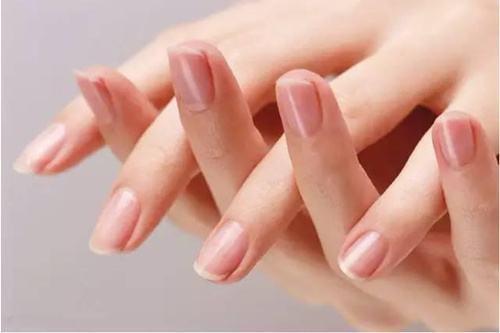 气血不足怎么调理(女人身体虚气血不足怎么调理)