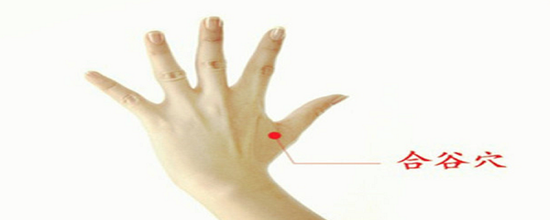 针刺合谷的作用(针灸合谷刺)