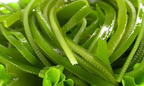 多吃海带有什么好处 海带的功效