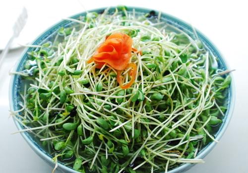 绿豆芽的根可以吃吗 绿豆芽怎么吃最好