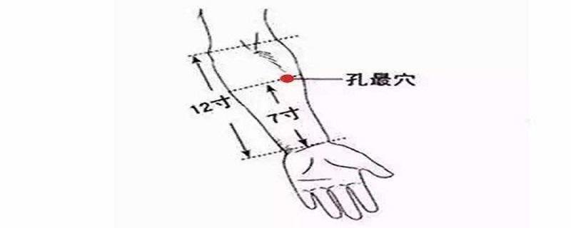 孔最的准确位置图和作用 孔最的准确位置图和作用及功效