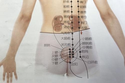 白环俞准确位置图片,白环俞怎么找准(白环俞的准确位置图片图)