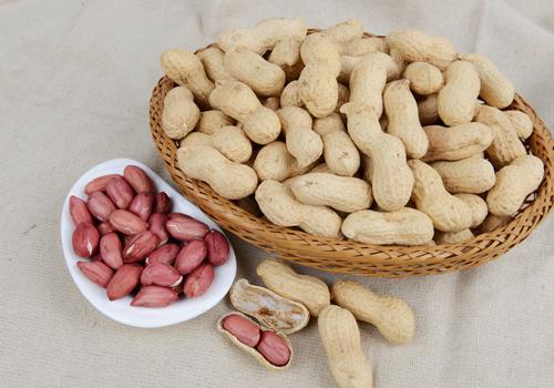 常吃花生有什么好处 哪些人不可以吃花生