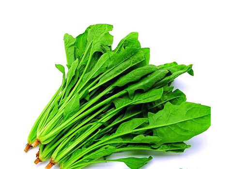 叶酸的作用及功能及副作用(叶酸的作用与功效)