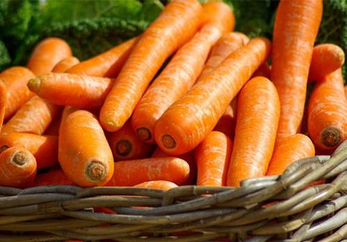 孩子总是感冒吃什么食物好(小孩生病感冒吃什么食物比较好)