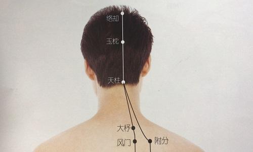 络却的准确位置图 络却的准确位置及作用