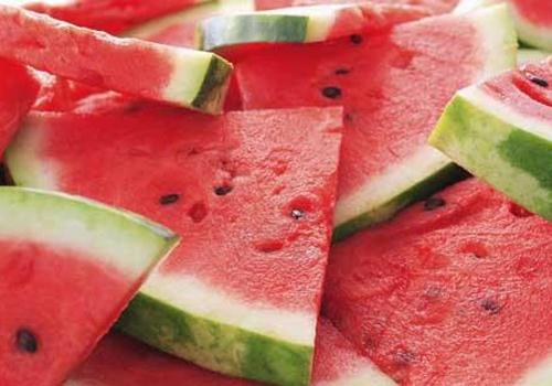 吃了冰西瓜拉肚子怎么办 狗狗吃了冰西瓜拉肚子怎么办