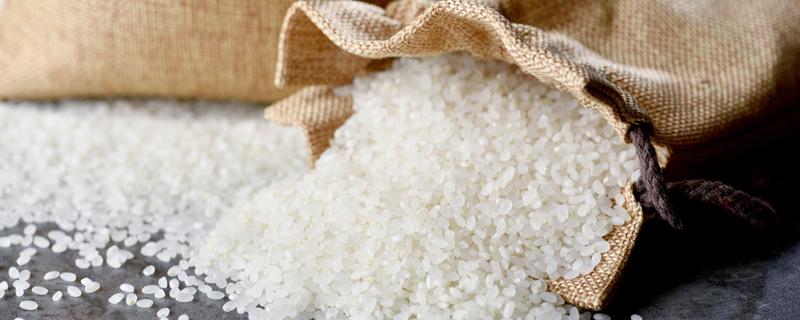 米饭和豆包哪个热量高(米饭和红豆包哪个热量大)