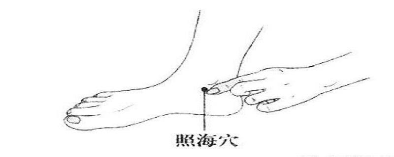 照海的针刺方法(照海如何针刺)