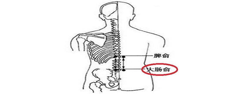 大肠俞怎么找最简单（找大肠俞的最简单的方法）