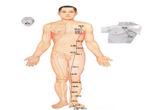 足太阴脾经循行路线图 手少阴心经循行路线图